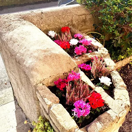 Residenza Caterina Daire *